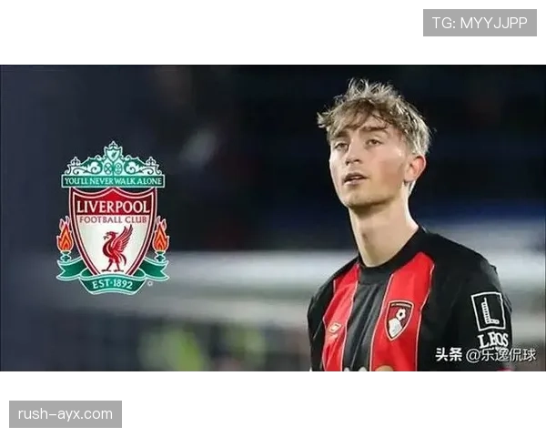 范戴克领衔防线，利物浦稳定性彰显领导力